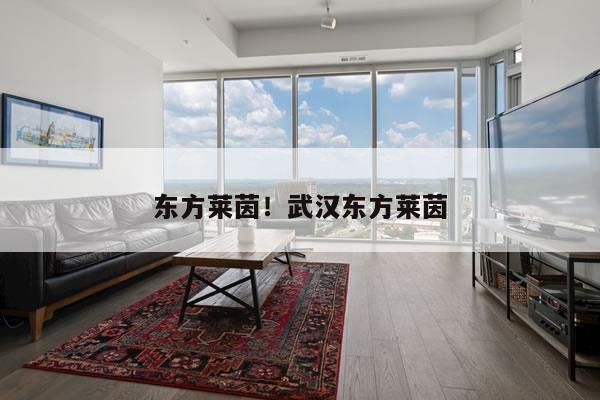 东方莱茵！武汉东方莱茵